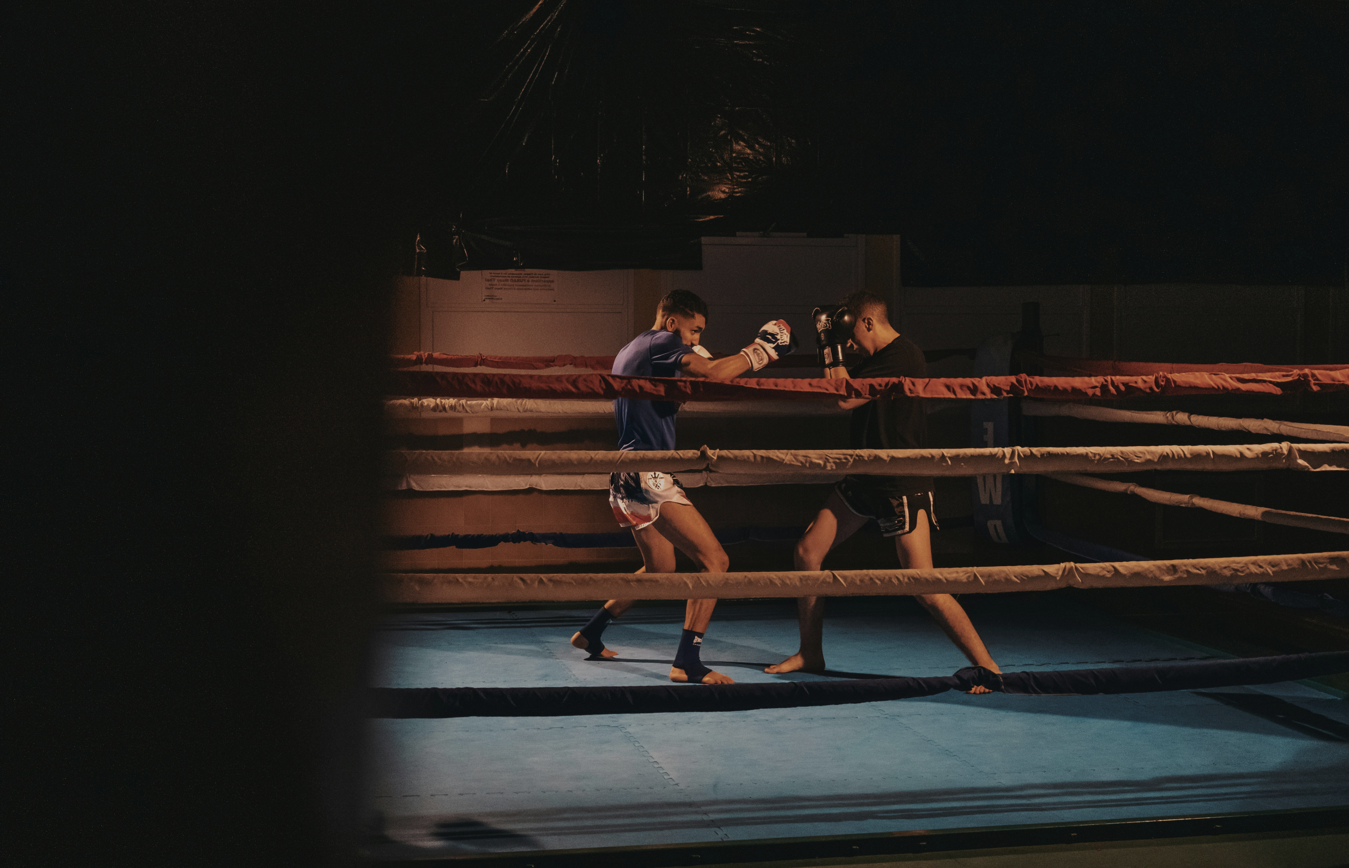 Boxing training ring